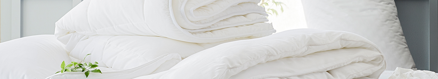 Mattresses & Pillows